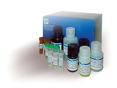 QuantiChrom™ Urea Assay Kit 